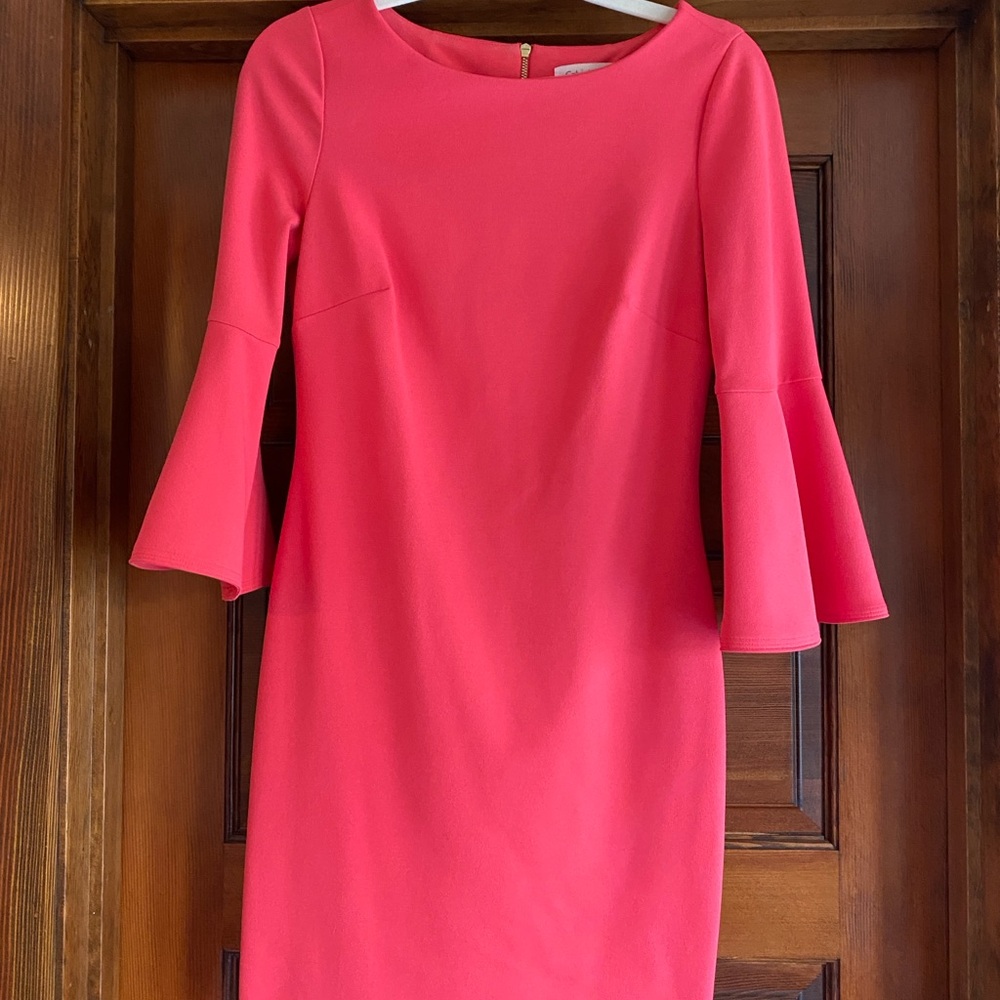 Elegant Salmon Bell Sleeve Dress